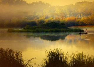 CAT TIEN NATIONAL PARK DAILY TOUR AND 1 DAY 1 NIGHT, 2 DYAS 1 NIGHT TOUR